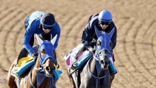 【フローラＳ】レーン騎手がラフターラインズと初コンタクト「末脚の良さが特徴だと思う」４戦全てで上がり最速