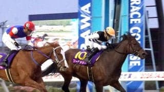 ツーシャドーが報知杯しらさぎ賞２勝目　２４年の優勝馬が２年ぶりのタイトル獲得　繁殖入りが一転、現役続行へ