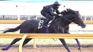 【青葉賞】友道調教師「何とかダービーに」　ブラックオリンピアが推進力十分の半マイル追い　権利取りへ勝負駆け