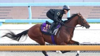 【読売マイラーズＣ】Ｇ１馬アドマイヤズームは迫力十分　朝日杯ＦＳ制した京都マイル戦で復活を狙う