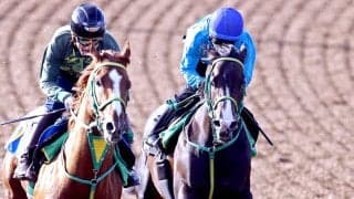 【青葉賞】好仕上がりオルフセンはラスト１ハロン１１秒１　斎藤誠調教師「思っていた通りに仕上がった」