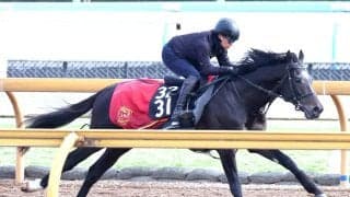 【青葉賞】５・２億円馬サガルマータは福永調教師を背に軽快な走り　「動きの質がよくなった」