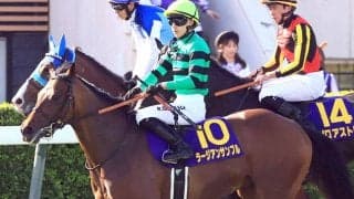 皐月賞８着のラージアンサンブルが右前第一指骨の剥離骨折　除去手術を行う予定