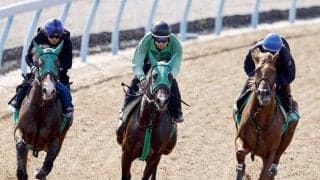 【青葉賞】ダービー切符へラストスマイルは３頭併せで最先着　杉原誠人騎手「やっぱり走る」