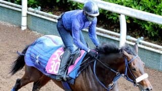 【フローラＳ】兄２頭は重賞ホース　良血エンネは坂路で素軽い脚さばき　吉岡調教師「体も絞れた感じ」