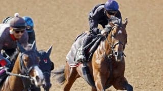 【青葉賞】上原佑調教師「素質は皐月賞の３頭と遜色ない」　武豊騎手騎乗のゴーイントゥスカイでダービー４頭出しへ