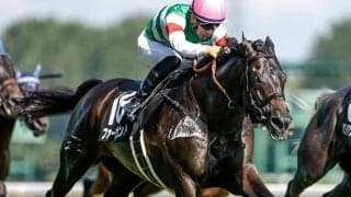 【マイラーズC展望】充実期を迎える5歳馬ファーヴェントが重賞初制覇を狙う