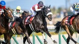 香港チャンピオンズデーへ、日本馬が最終調整 モレイラ騎乗ジューンテイクは好気配、各馬順調に態勢整う