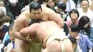 東京・府中で春巡業開催　稽古の関取最多は幕内・王鵬の１９番　ちびっ子相撲と握手会も