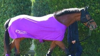 【注目馬動向】アドマイヤクワッズのＮＨＫマイルＣは引き続き坂井瑠星騎手とのコンビ