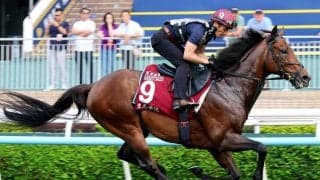 【香港・チェアマンズＳＰ】サトノレーヴが最強スプリンターと４度目対決へ陣営「満足いく内容」　ゲートは大外に決定