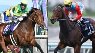 【香港・チェアマンズSP枠順】高松宮記念連覇のサトノレーヴは8番ゲート、19連勝中のカーインライジングは3番ゲート