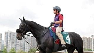 【香港・ＱＥ２世Ｃ】ジューンテイクは７番ゲートに決定　調教後下馬の影響はなし
