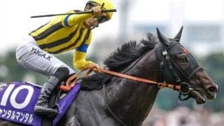 【香港・チャンピオンズM枠順】GI・4勝ジャンタルマンタルは6番ゲート、連覇かかるレッドライオンは8番ゲート