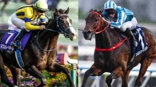 【香港・QE2世C枠順】マスカレードボールは6番ゲート、ロマンチックウォリアーは5番ゲート