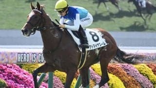 【マイラーズC出走馬・騎手確定】アドマイヤズーム＆武豊騎手、ウォーターリヒト＆高杉吏麒騎手など18頭