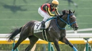 【フローラS出走馬・騎手確定】ラフターラインズ＆D.レーン騎手、ファムクラジューズ＆横山武史騎手など13頭