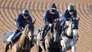 【青葉賞】ルメール騎手のアローメタルが抽選突破ならず　戸崎圭太騎手のオルフセンなどの有力馬も除外に