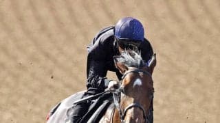 【青葉賞】武豊騎手が騎乗のコントレイル産駒ゴーイントゥスカイが抽選突破　シンボリクリスエスなど３勝のレジェンドに託す