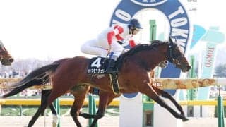 【注目馬動向】３連勝中のダノンセンチュリーは京王杯ＳＣへ　２度目の重賞挑戦は初の１４００メートル