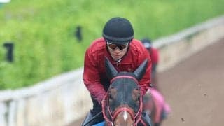 【読売マイラーズＣ・データ埋蔵金】４歳馬が狙い目も６か月半ぶりアドマイヤズームは疑う余地あり　浮上する馬は？