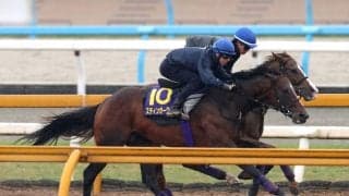 【天皇賞・春・１週前】連覇狙うレーン騎手がスティンガーグラスと初コンタクト「強みはスタミナですね」