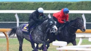 【天皇賞・春・１週前】武豊騎手とＧ１初制覇狙うアドマイヤテラはしっかり負荷　友道調教師「春はここが最大目標」