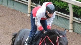 【青葉賞】矢作厩舎のコントレイル産駒カットソロが異例の木曜追い　陣営「少しでも競馬で動けるように持っていきたい」