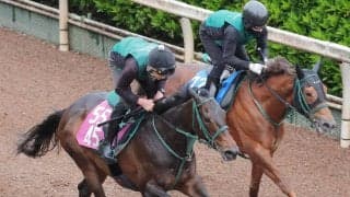 【フローラＳ】武器は操縦性の高さ！３歳牝馬ながらメンタル安定！「乗せてください」松山騎手が惚れ込んだリアライズルミナス