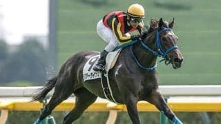 【フローラS枠順確定】ラフターラインズは4枠5番、ファムクラジューズは7枠11番