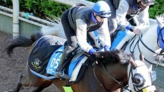 キタサンブラック半弟のシュガークンは新潟大賞典で復帰　鞍上は引き続き武豊騎手　２４年のダービー後は屈腱炎発症していた...