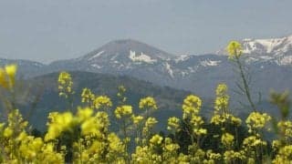 冬を思わせる名前なのに春開催？ 福島競馬「雪うさぎ賞」の由来とは