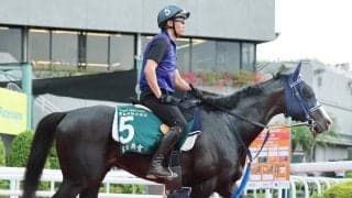 【香港・ＱＥ２世Ｃ】マスカレードボールは「香港に着いて最高の状態」　手塚久調教師が現地で共同会見