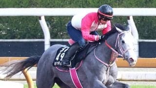 【注目馬動向】キャンディードがＮＨＫマイルＣを鼻出血のため見送り　２歳時にスターアニスを撃破