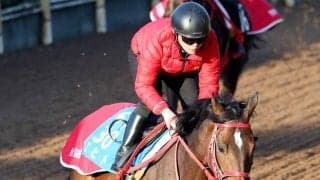 【天皇賞・春・１週前】９歳でも絶賛成長中！エヒトは栗東・坂路をリズム良く登坂　陣営「心肺機能の高い馬でやれてもいい」