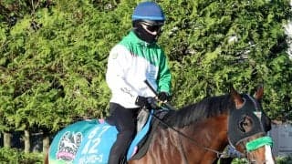 【読売マイラーズＣ】京都マイルはお任せ！エルトンバローズが８枠１７番から復活Ｖ狙う　陣営「動き自体は追い切りで....」