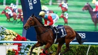 【チェアマンズSP】「2年連続短距離三冠」と「20連勝」 カーインライジングにかかる2つの大記録