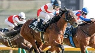 【京王杯SC想定馬・騎手】ダノンセンチュリー、ララマセラシオンなど19頭