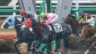 【ユニコーンS想定馬・騎手】ケイアイアギト、コロナドブリッジなど8頭