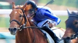 今度こそ主役ゲットだ ロイヤルファミリー役のブレイヴソルジャーが初勝利狙う