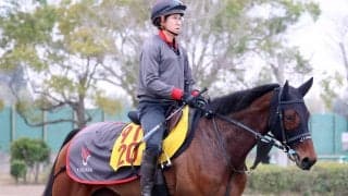 【注目馬動向】兵庫女王盃２着のプロミストジーンは武豊騎手とのコンビ継続でエンプレス杯へ