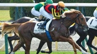 グランアレグリアの初仔グランマエストロ 5戦目で勝ち上がりなるか