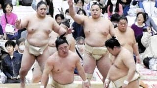 人気の藤ノ川が首痛から巡業復帰「やり過ぎると後遺症が残る」それでも「怖さはない」【大相撲】