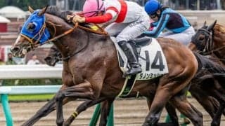 【石和特別】祖母は名牝ダンスインザムード 2.6億円馬のダノンミッションが待望の3勝目なるか