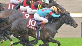 青葉賞は1番人気が堅実 外国人騎手は要チェック