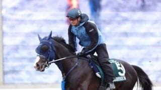 【クイーンエリザベス2世カップ】ロマンチックウォリアーVSマスカレードボール！最強馬が激突