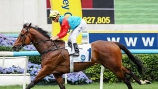 【チェアマンズスプリントプライズ】20連勝なるか！？カーインライジングは3番ゲート