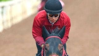 【読売マイラーズＣ】ドラゴンブーストはＢコースを一周し最終調整　藤野調教師「あとは展開と能力がどれくらい通用するか」