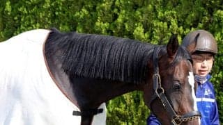 【注目馬動向】桜花賞９着のドリームコアはオークスに向けて調整　社台グループオーナーズが発表