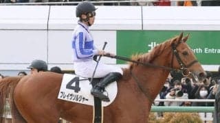 ロイヤルファミリー役の初勝利に競馬ファン興奮「叫んだわい」「すごい」　ブレイヴソルジャーが初ダートで激変！